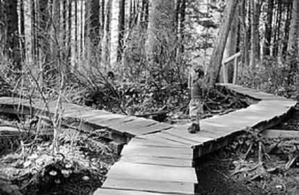 Presentaci&oacute;n-ELIGES T&Uacute;